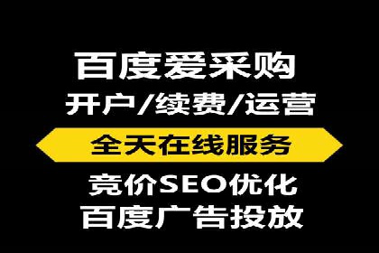SEM托管代运营案例：打造高效营销体系